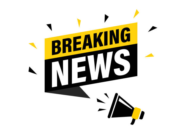 Batibo Council Joins Website Digitalization Seminar