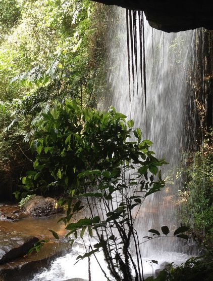 WATER FALL